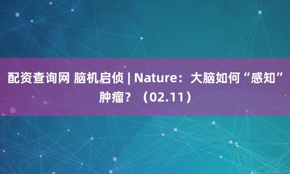 配资查询网 脑机启侦 | Nature：大脑如何“感知”肿瘤？（02.11）